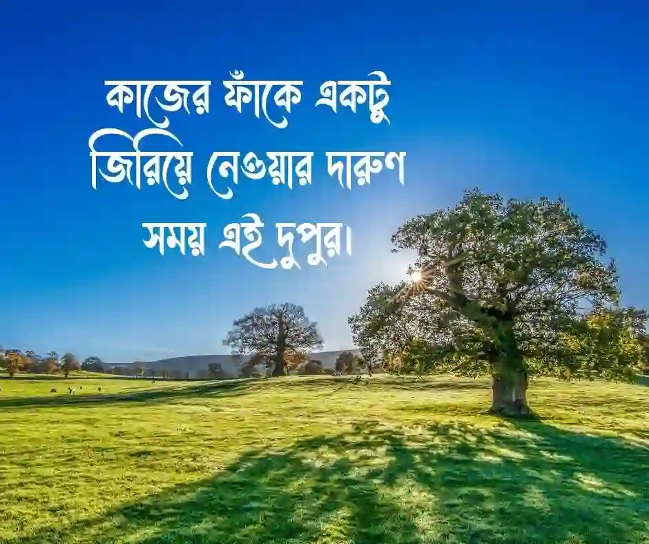 শুভ দুপুর ক্যাপশন দুপুরের ক্যাপশন