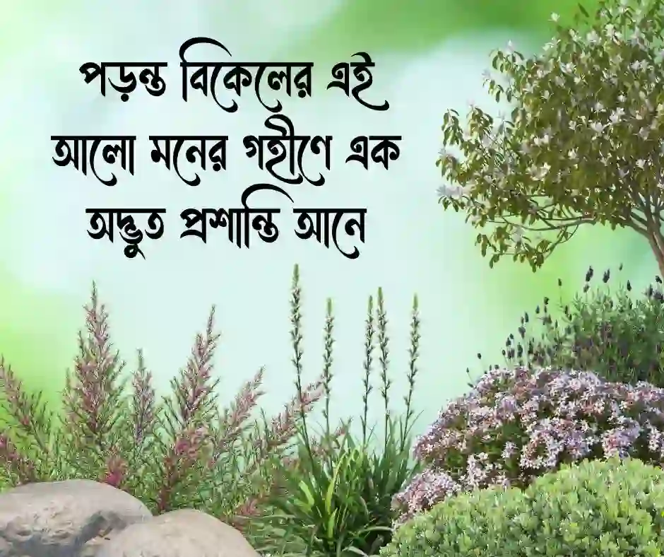 শুভ বিকেল ক্যাপশন Good Afternoon Caption