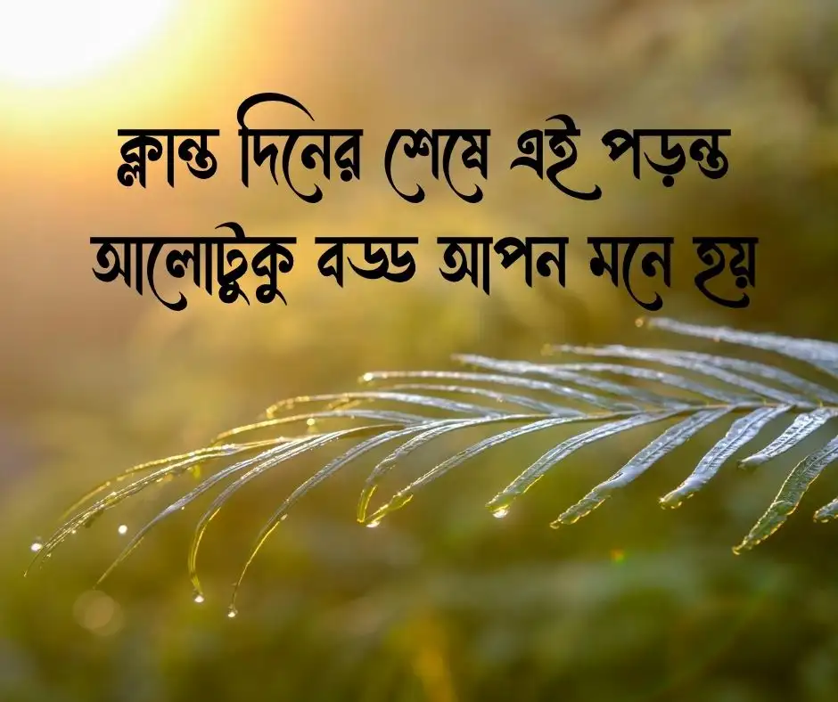 শুভ বিকেল ক্যাপশন Good Afternoon Caption