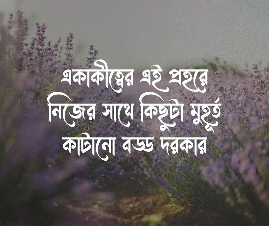 শুভ বিকেল নিয়ে ক্যাপশন