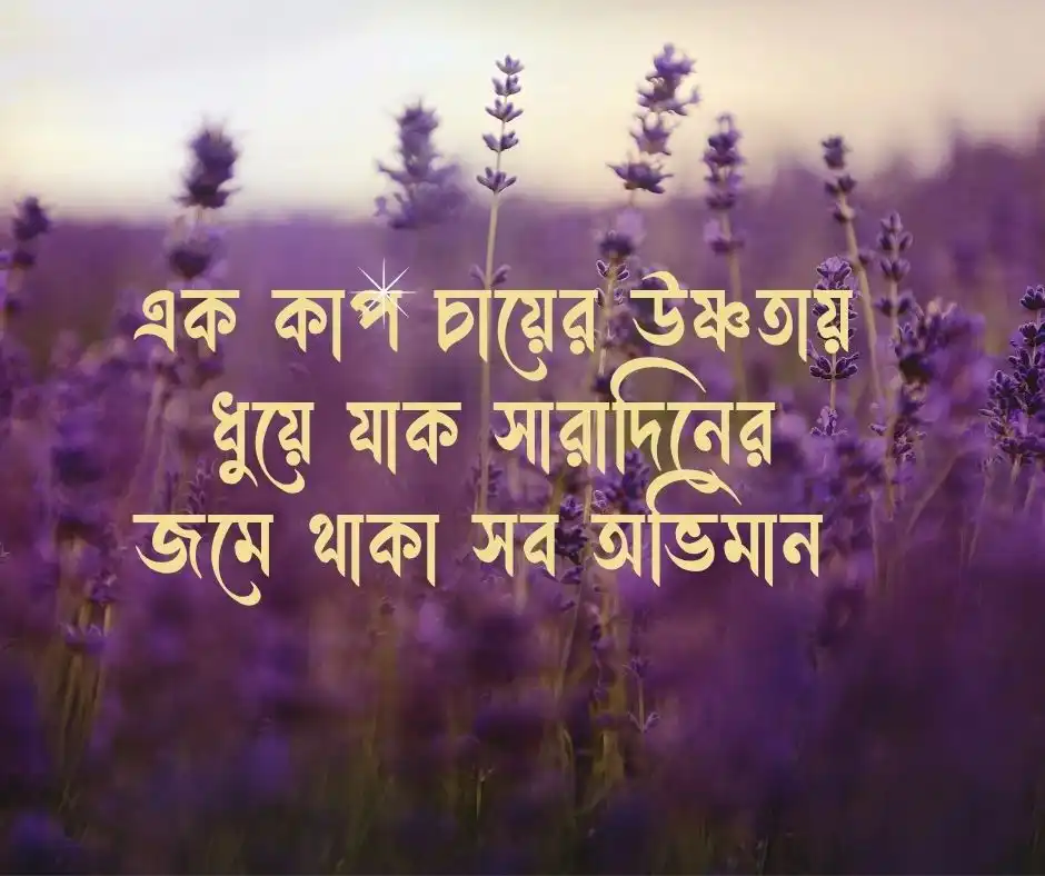 শুভ বিকেল স্ট্যাটাস বিকেল নিয়ে স্ট্যাটাস