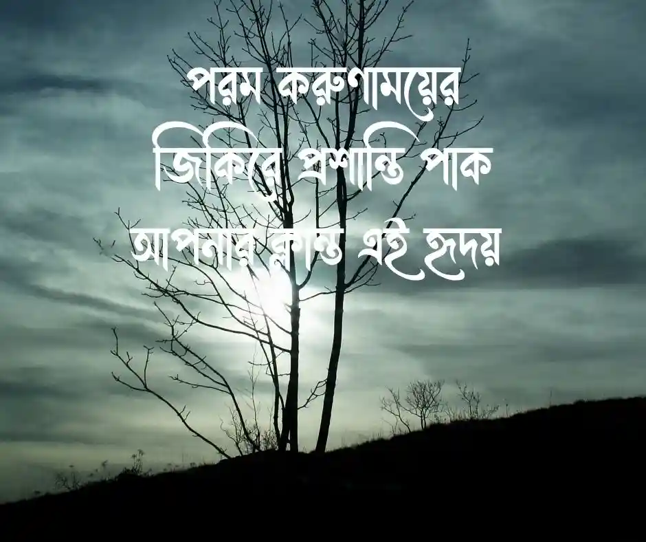 শুভ রাত্রি ইসলামিক স্ট্যাটাস শুভ রাত্রি নিয়ে ইসলামিক উক্তি