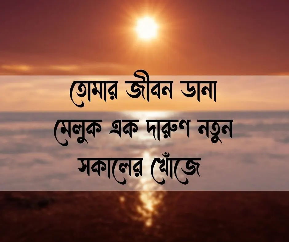 শুভ রাত্রি শুভেচ্ছা বার্তা