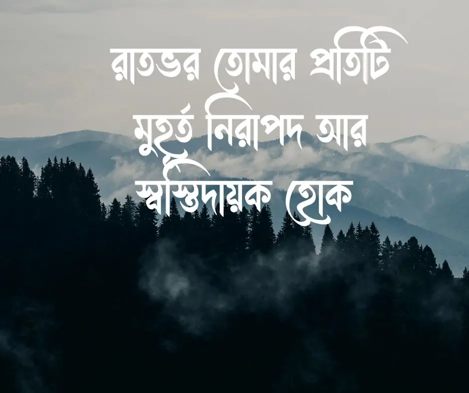 শুভ রাত্রি শুভেচ্ছা Good Night Wishes