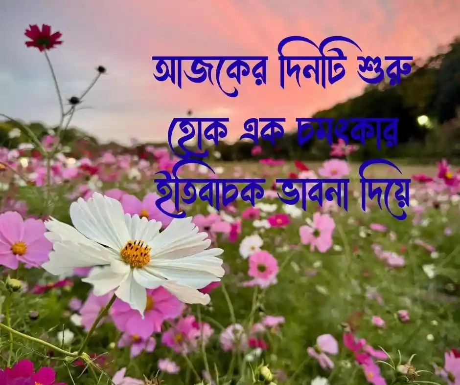 শুভ সকাল স্ট্যাটাস
