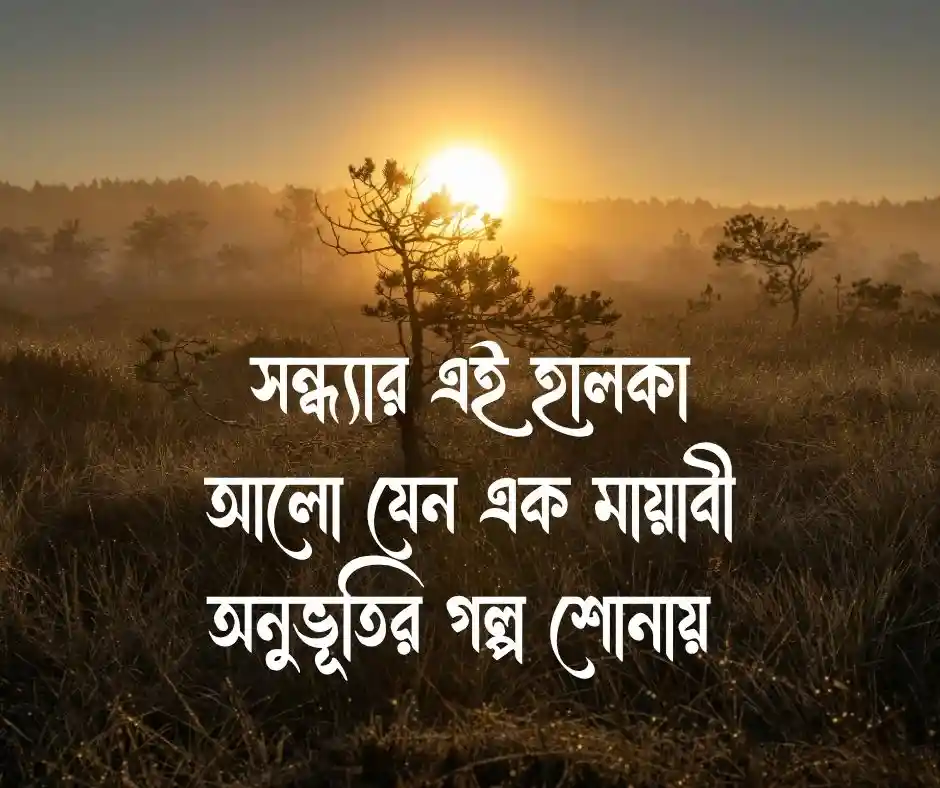 শুভ সন্ধ্যার ক্যাপশন