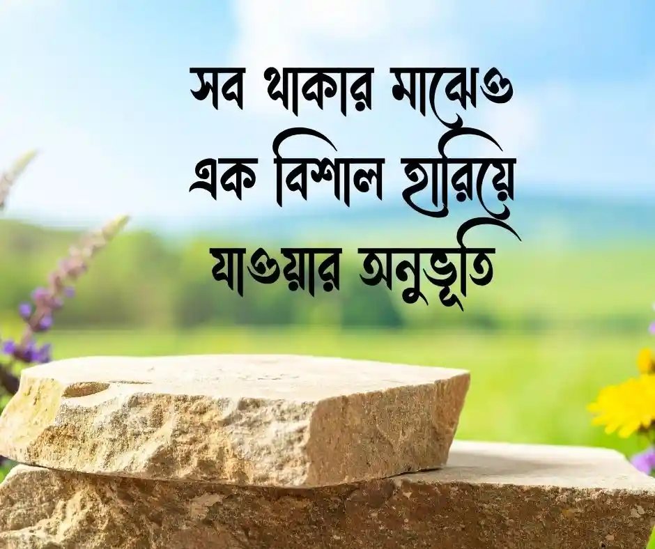 শূন্যতা নিয়ে ক্যাপশন