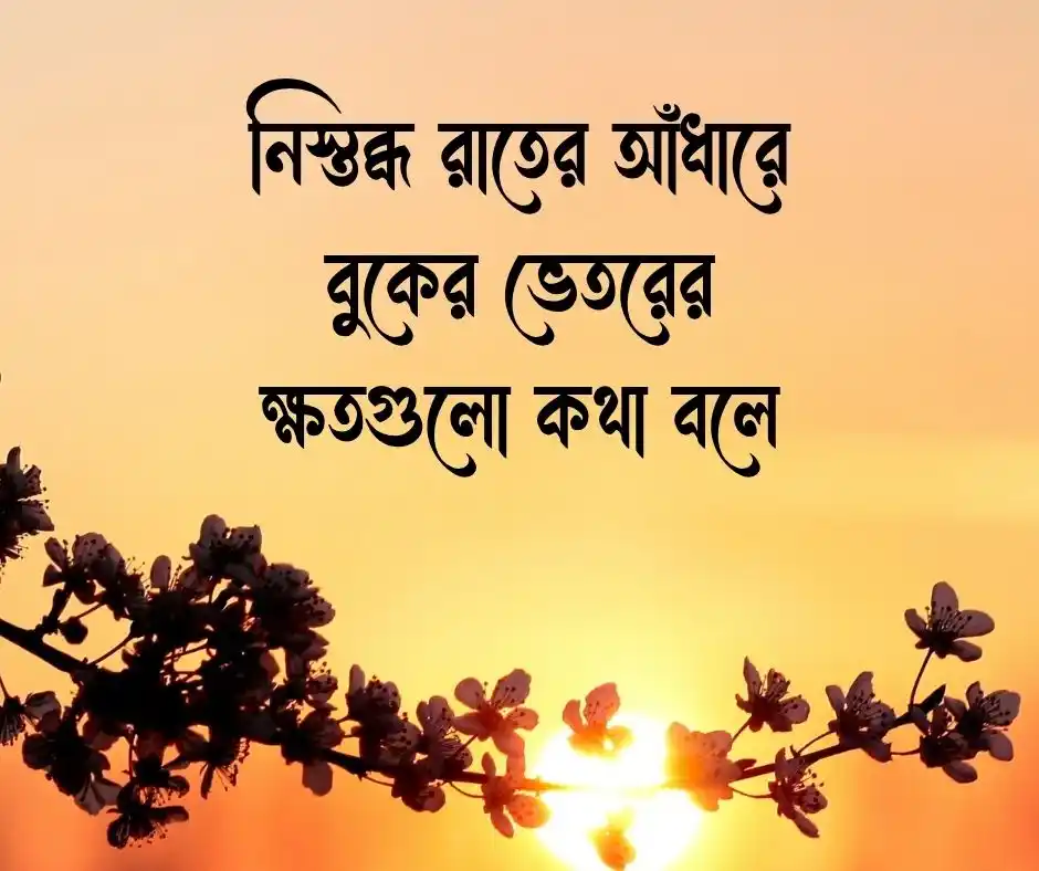 শূন্যতা নিয়ে স্ট্যাটাস