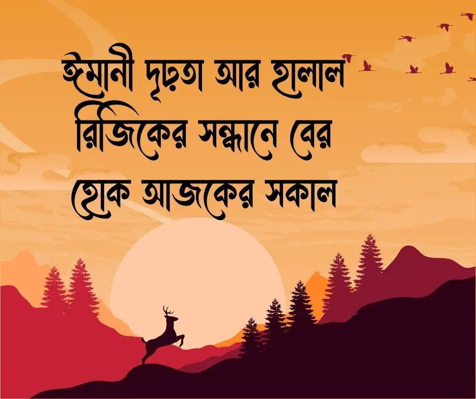 সকাল নিয়ে ইসলামিক ক্যাপশন