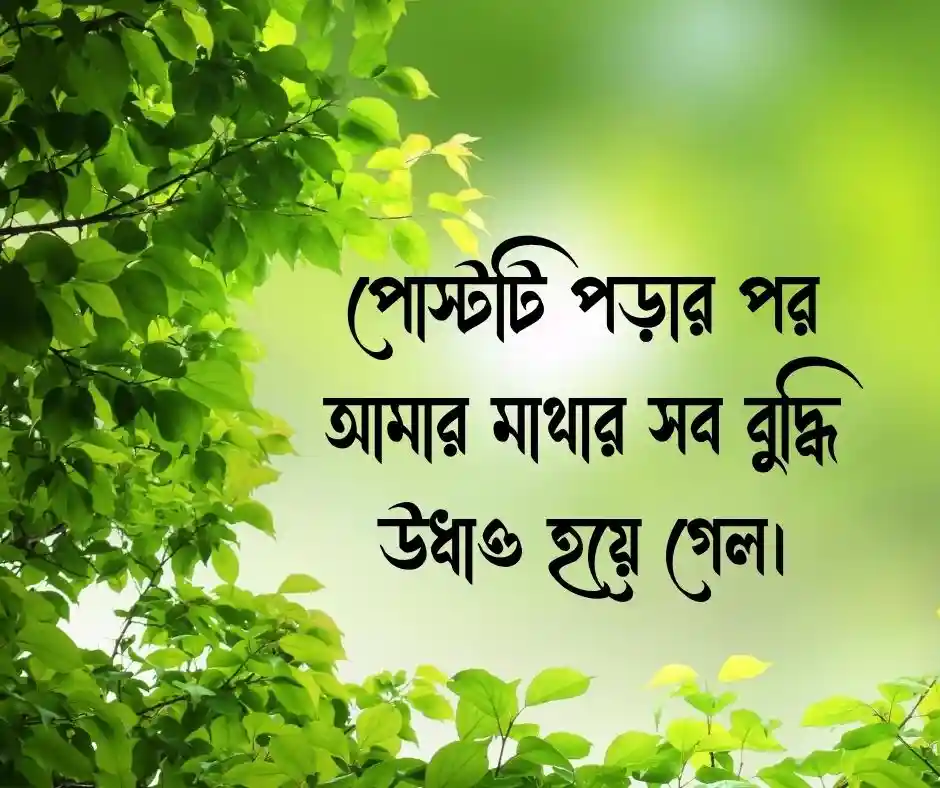 সেরা কিছু ফানি কমেন্ট Funny Comments