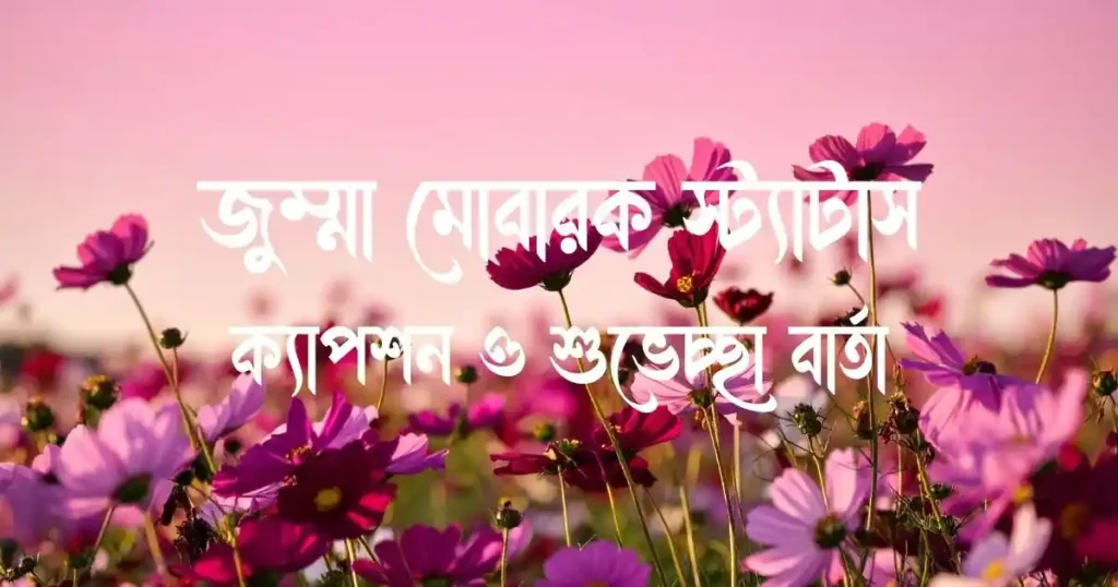 জুম্মা মোবারক স্ট্যাটাস, ক্যাপশন ও শুভেচ্ছা বার্তা