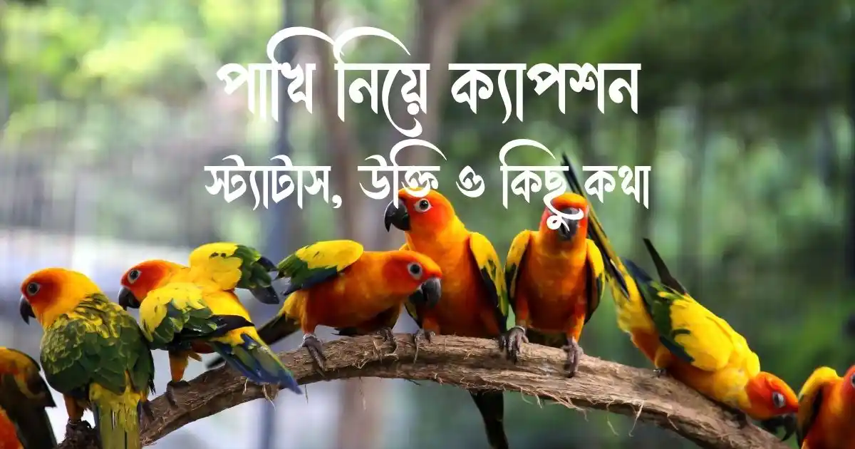 পাখি নিয়ে ক্যাপশন, স্ট্যাটাস, উক্তি ও কিছু কথা
