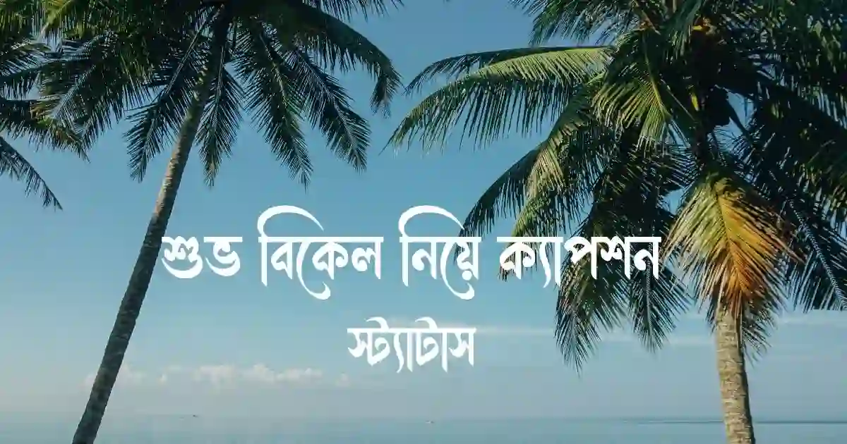 শুভ বিকেল নিয়ে ক্যাপশন ও স্ট্যাটাস