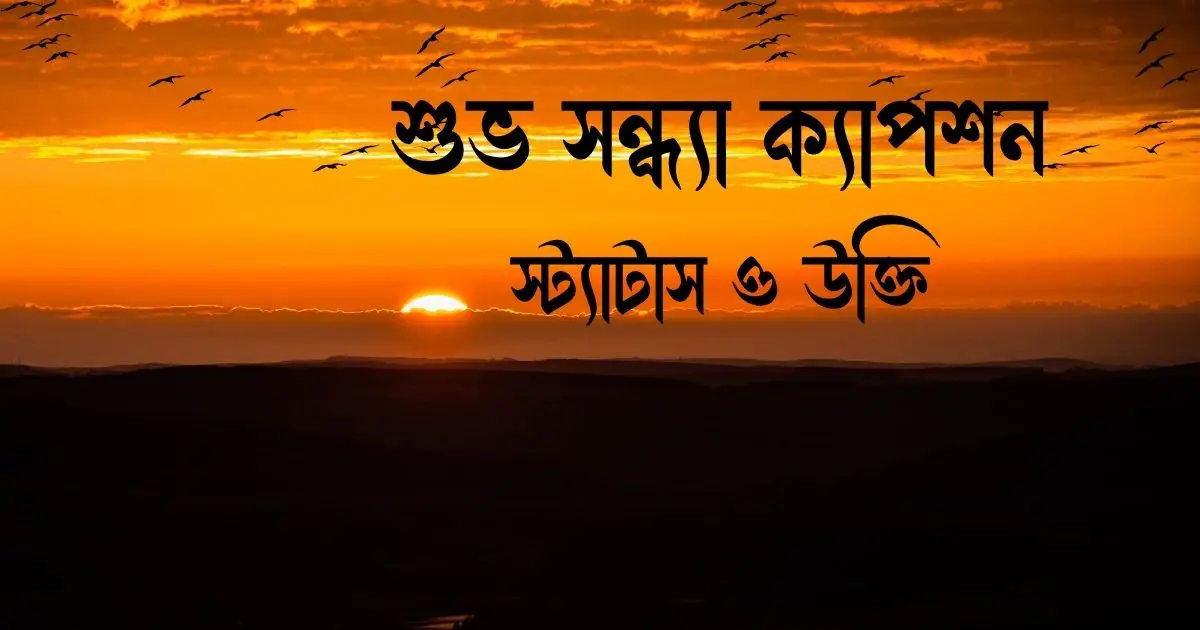 শুভ সন্ধ্যা ক্যাপশন, স্ট্যাটাস ও উক্তি