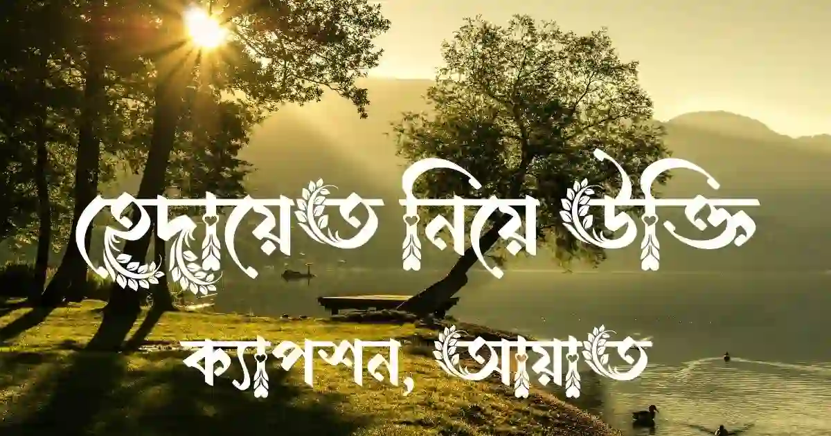 হেদায়েত নিয়ে উক্তি, ক্যাপশন, আয়াত