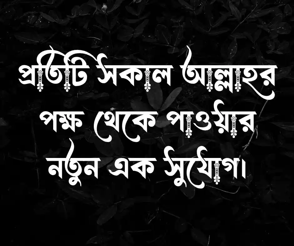 ইসলামিক স্ট্যাটাস Islamic Status.