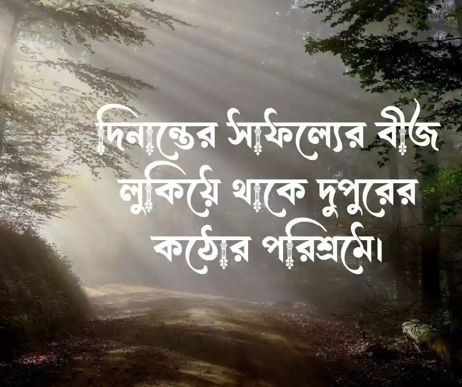 দুপুর নিয়ে উক্তি