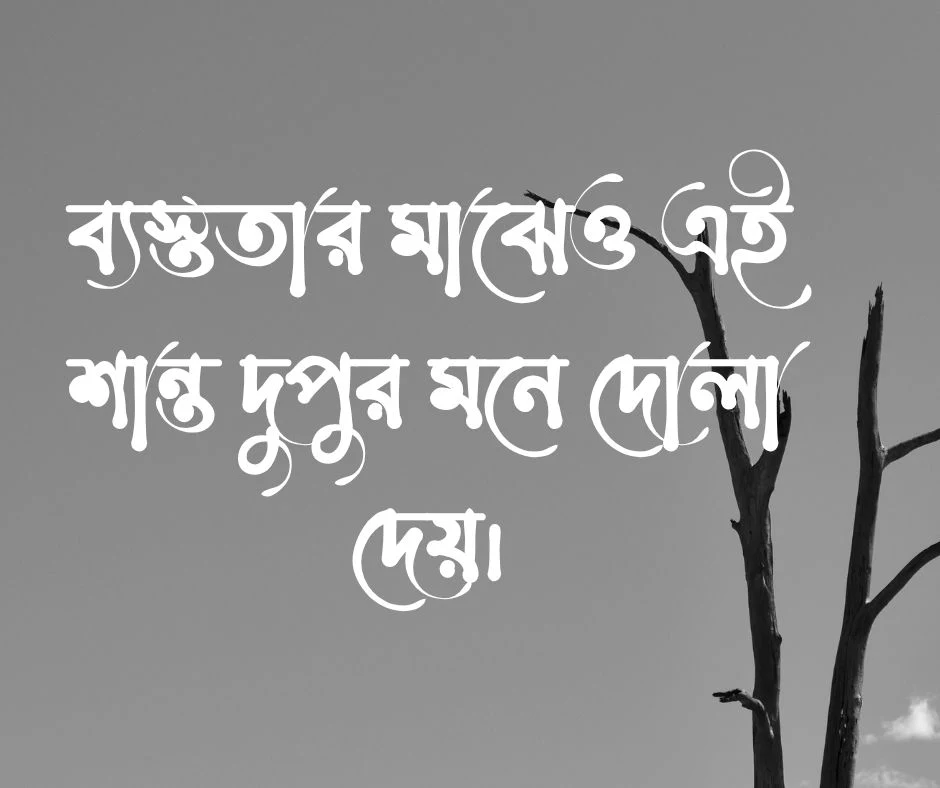 দুপুর নিয়ে ক্যাপশন