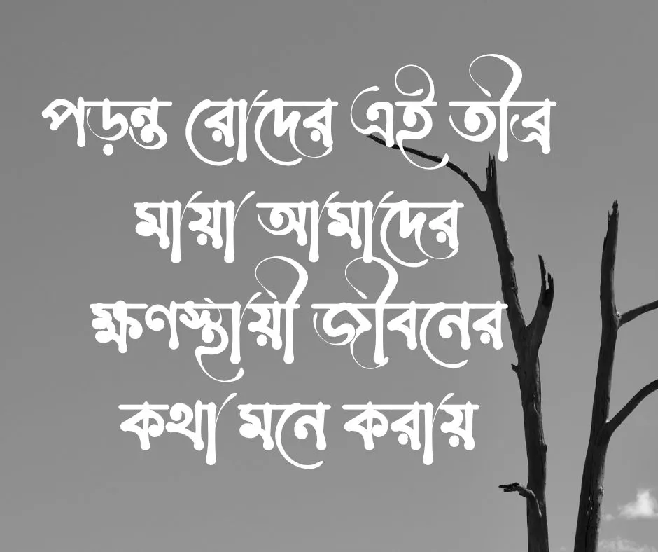 পড়ন্ত বিকেল নিয়ে ক্যাপশন
