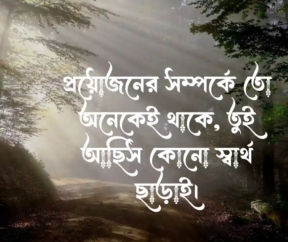 বন্ধু নিয়ে স্ট্যাটাস&nbsp; (Friend Status)