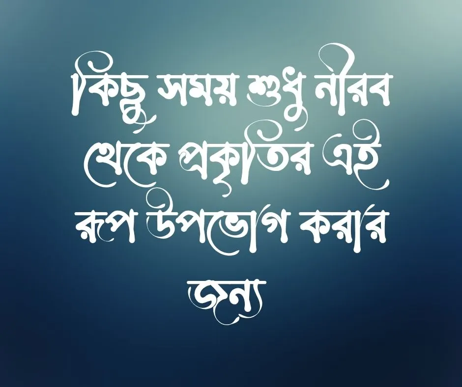 বিকেলের ক্যাপশন বিকেলের স্ট্যাটাস