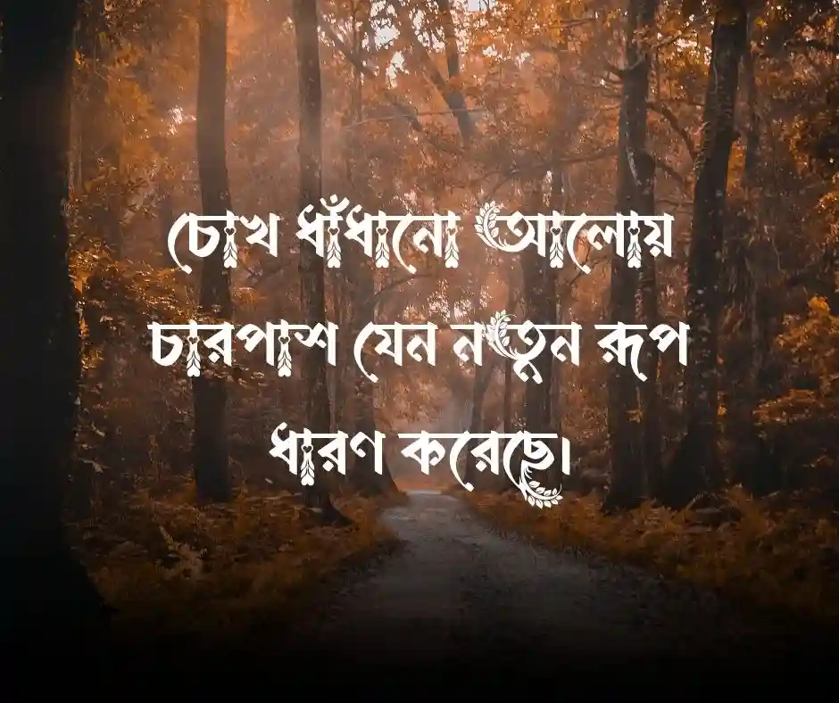 রোদেলা দুপুর নিয়ে ক্যাপশন