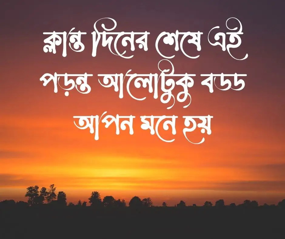 শুভ বিকেল ক্যাপশন Good Afternoon Caption