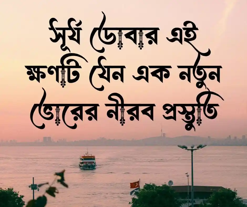 শুভ বিকেল ক্যাপশন Good Afternoon Caption
