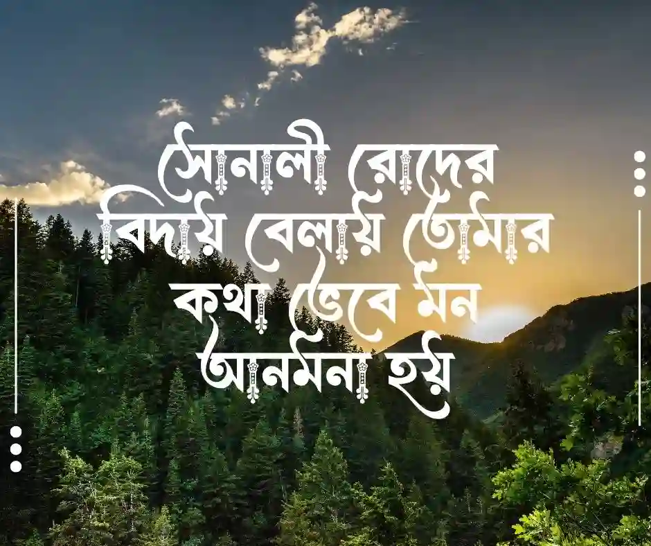 শুভ বিকেল রোমান্টিক মেসেজ