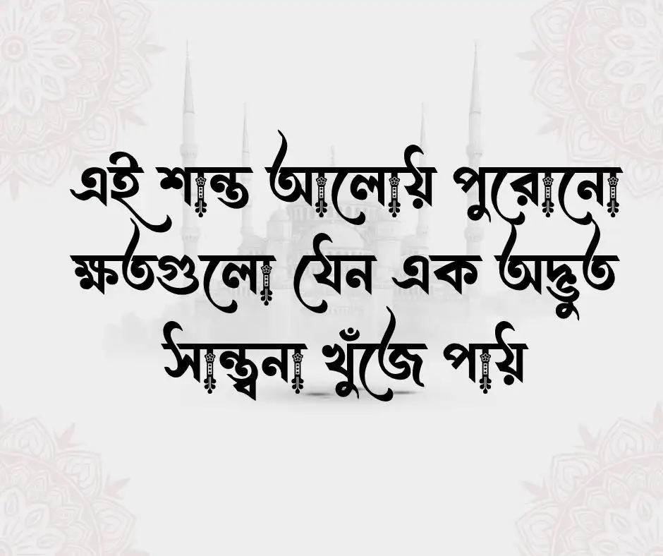 শুভ বিকেল স্ট্যাটাস বিকেল নিয়ে স্ট্যাটাস
