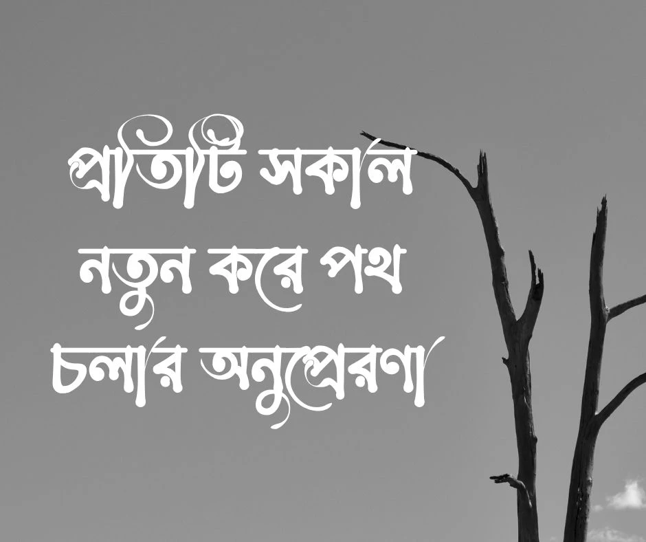 শুভ সকাল ক্যাপশন Good Morning Caption.