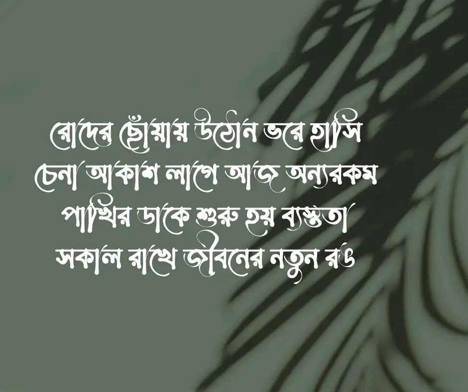 সকাল নিয়ে কবিতা