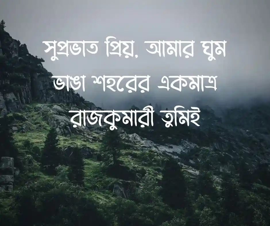 সকাল নিয়ে রোমান্টিক ক্যাপশন
