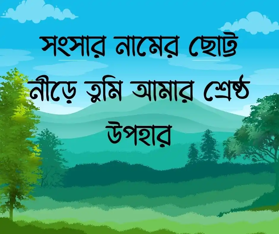 স্ত্রীকে নিয়ে স্ট্যাটাস