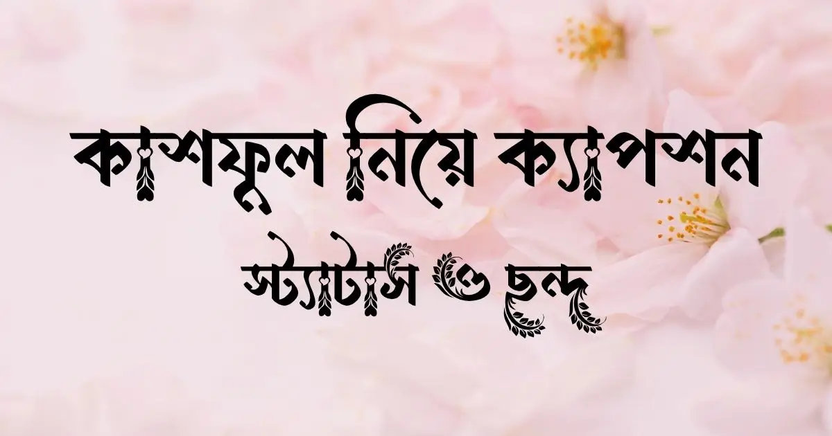 কাশফুল নিয়ে ক্যাপশন, স্ট্যাটাস ও ছন্দ