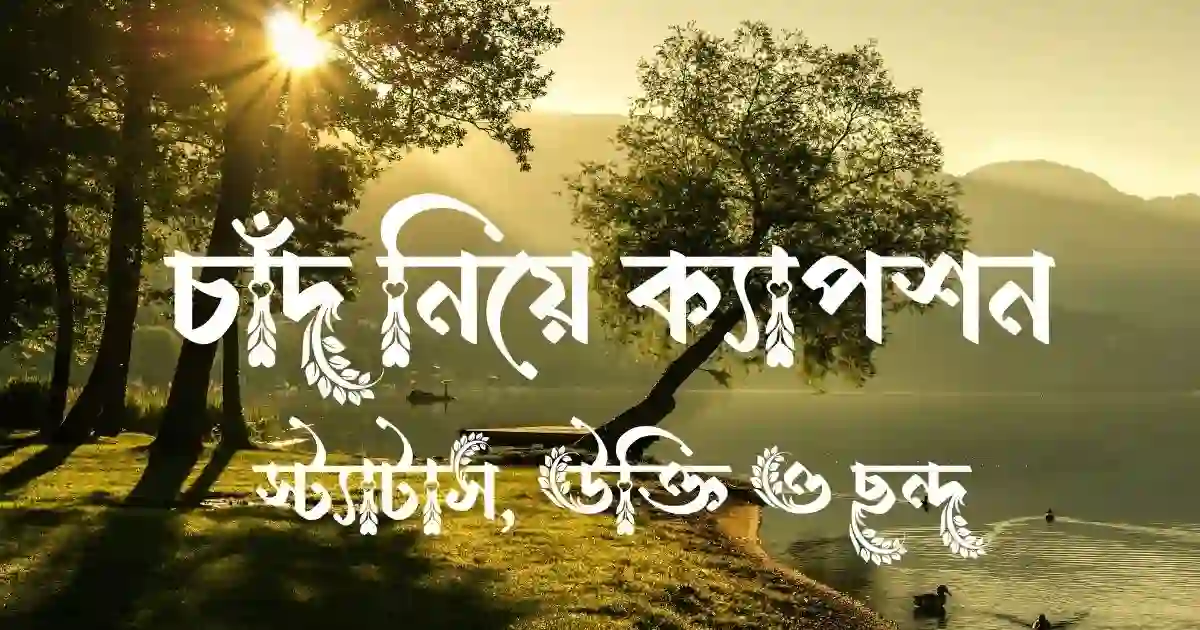 চাঁদ নিয়ে ক্যাপশন, স্ট্যাটাস, উক্তি ও ছন্দ