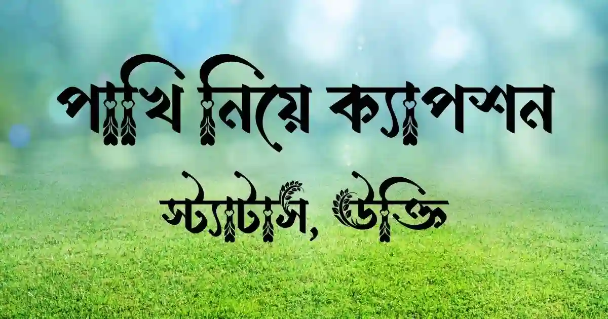 পাখি নিয়ে ক্যাপশন, স্ট্যাটাস, উক্তি